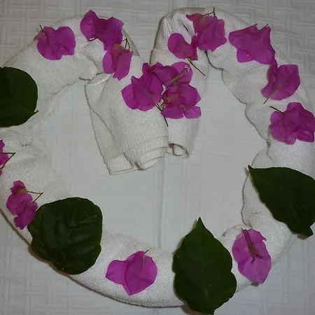 Sun Dream Apart Hotel شقة *